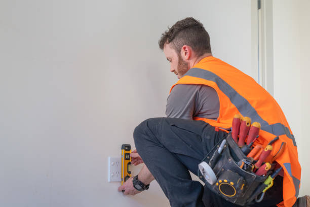 Best Electric Panel Repair  in Edcouch, TX